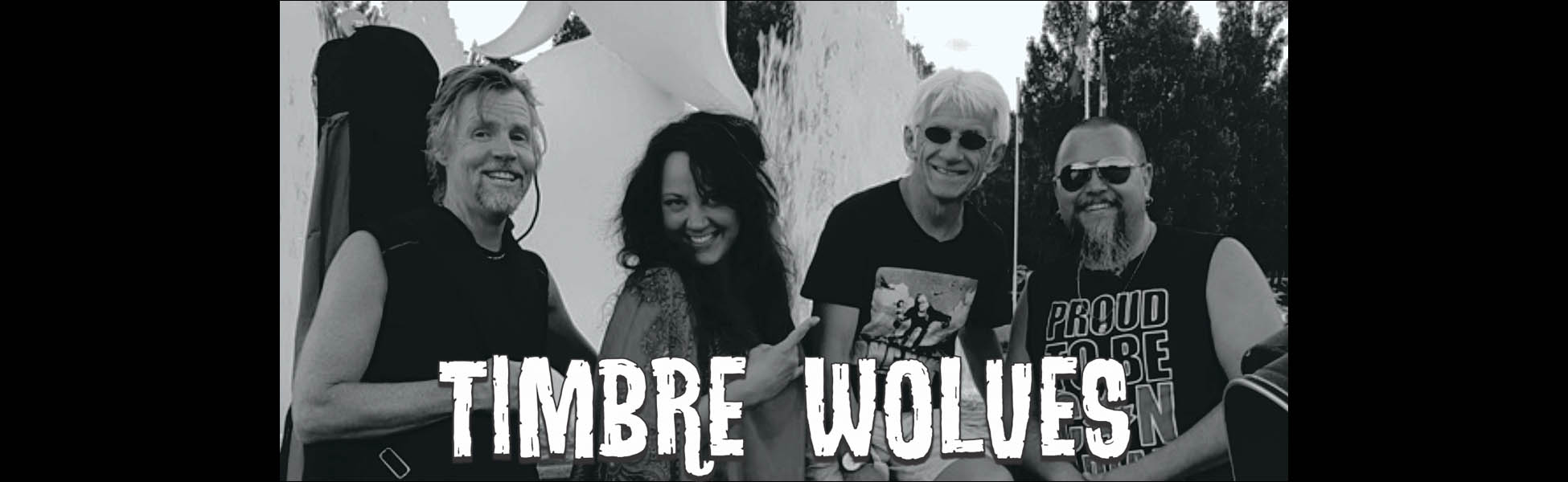 Timber Wolves band
